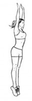 Burpee (variations)
